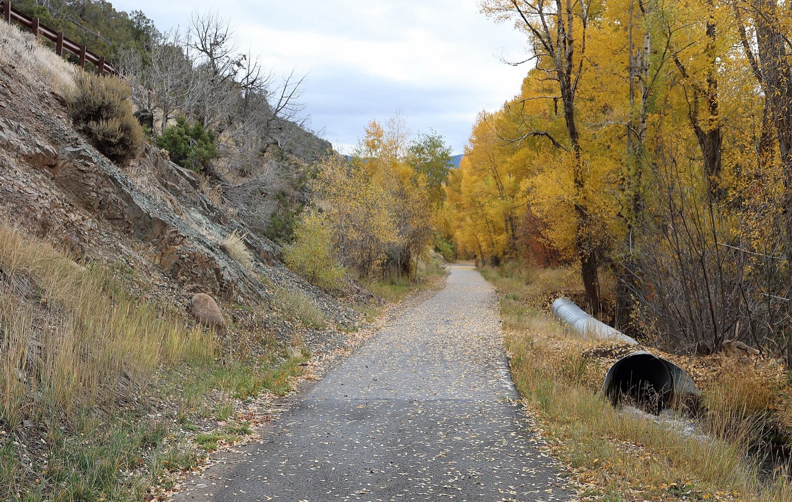Rio Grande Trail near Aspen, Colorado
